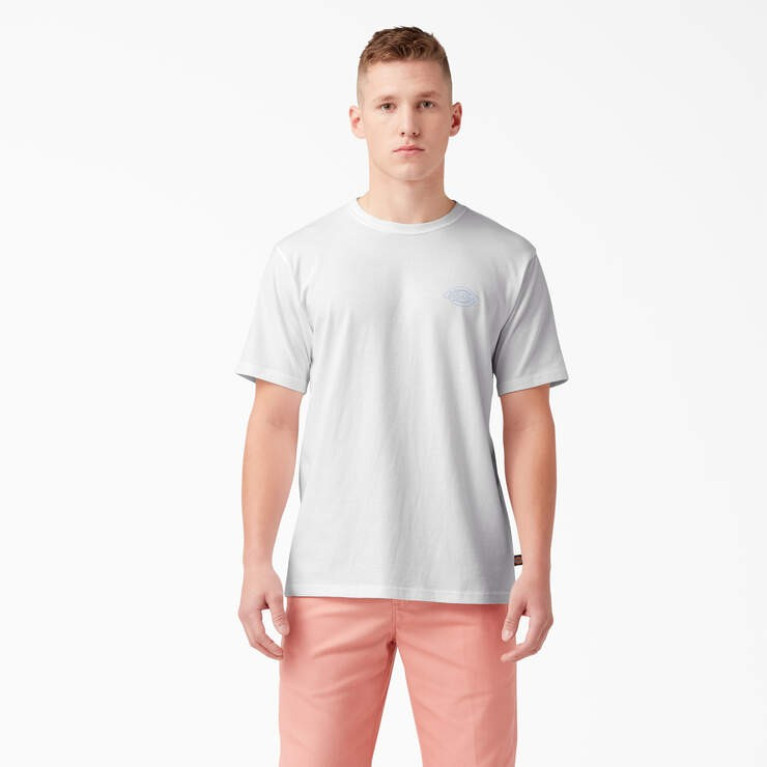 Футболка DICKIES HOLTVILLE SHORT SLEEVE TEE White