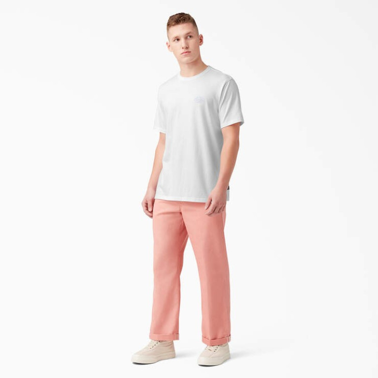 Футболка DICKIES HOLTVILLE SHORT SLEEVE TEE White