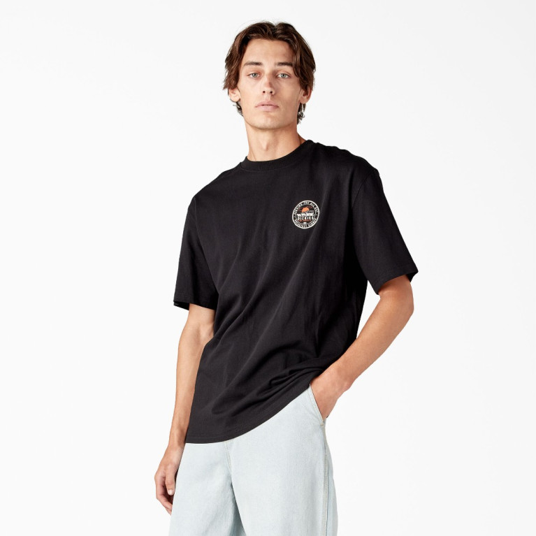 Футболка DICKIES GREENSBURG GRAPHIC TEE KNIT BLACK
