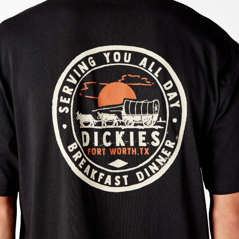 Футболка DICKIES GREENSBURG GRAPHIC TEE KNIT BLACK