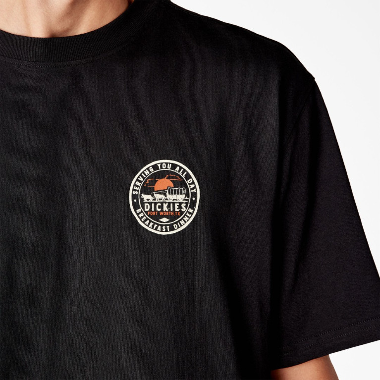 Футболка DICKIES GREENSBURG GRAPHIC TEE KNIT BLACK