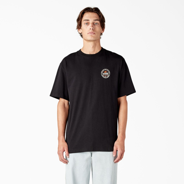 Футболка DICKIES GREENSBURG GRAPHIC TEE KNIT BLACK