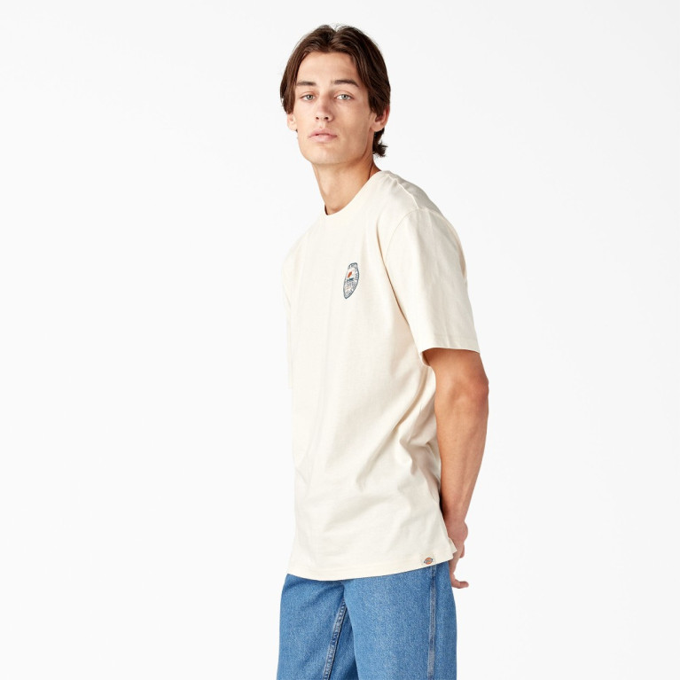 Футболка DICKIES GREENSBURG GRAPHIC TEE STONE WHITECAP GREY