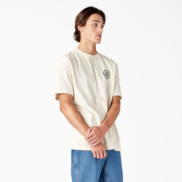 Футболка DICKIES GREENSBURG GRAPHIC TEE STONE WHITECAP GREY