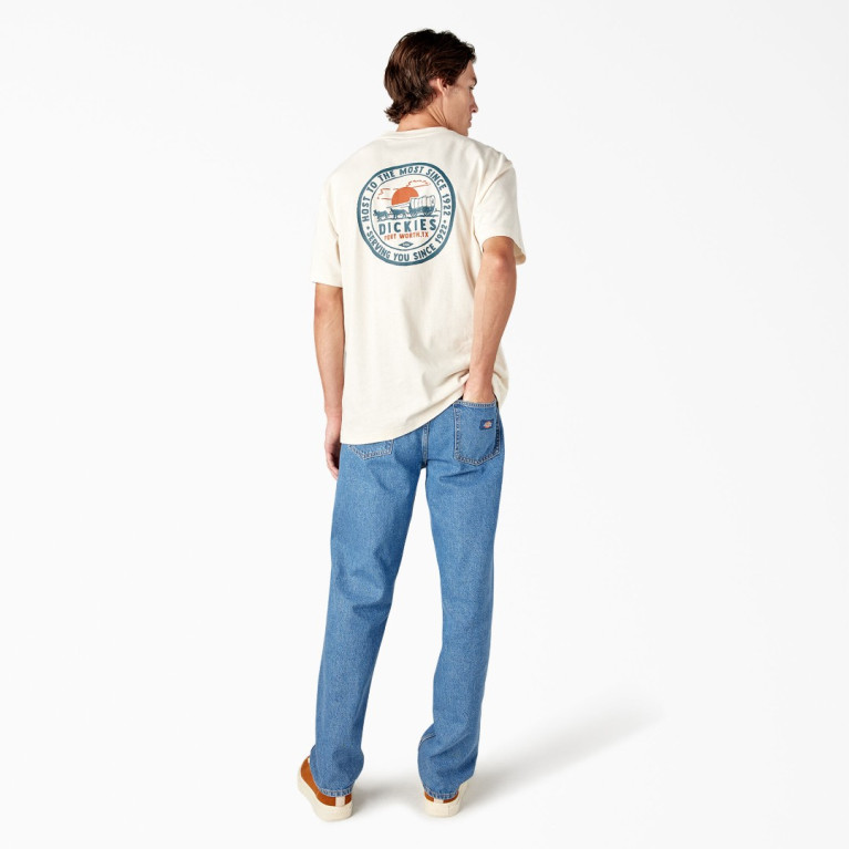Футболка DICKIES GREENSBURG GRAPHIC TEE STONE WHITECAP GREY