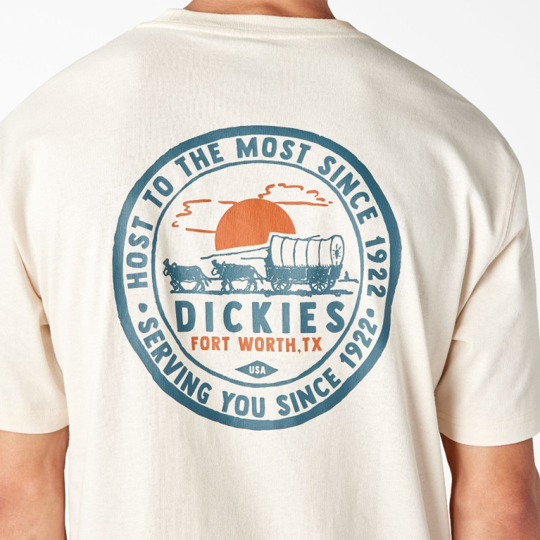 Футболка DICKIES GREENSBURG GRAPHIC TEE STONE WHITECAP GREY
