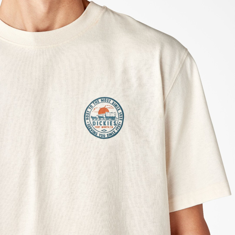 Футболка DICKIES GREENSBURG GRAPHIC TEE STONE WHITECAP GREY