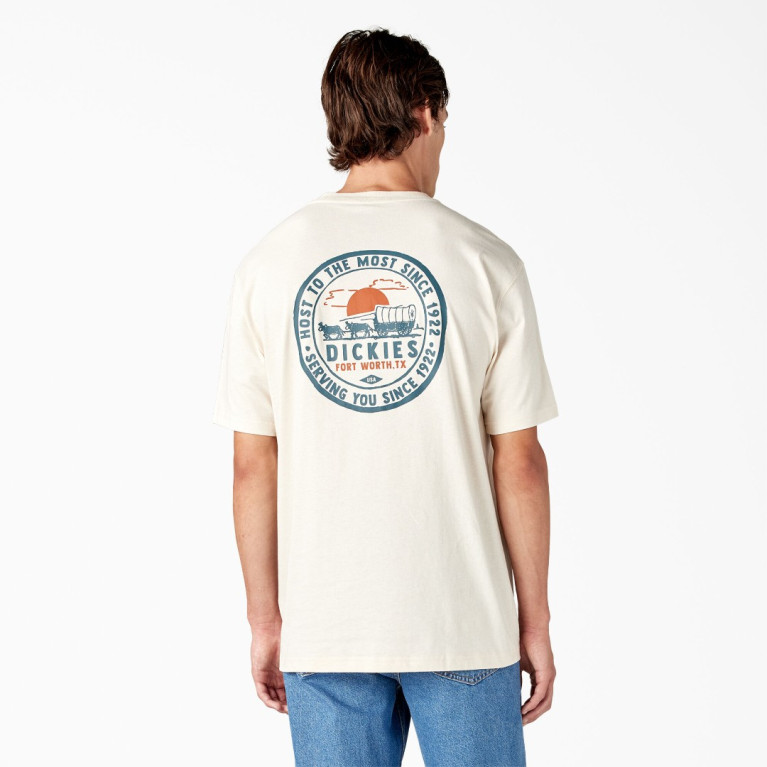 Футболка DICKIES GREENSBURG GRAPHIC TEE STONE WHITECAP GREY