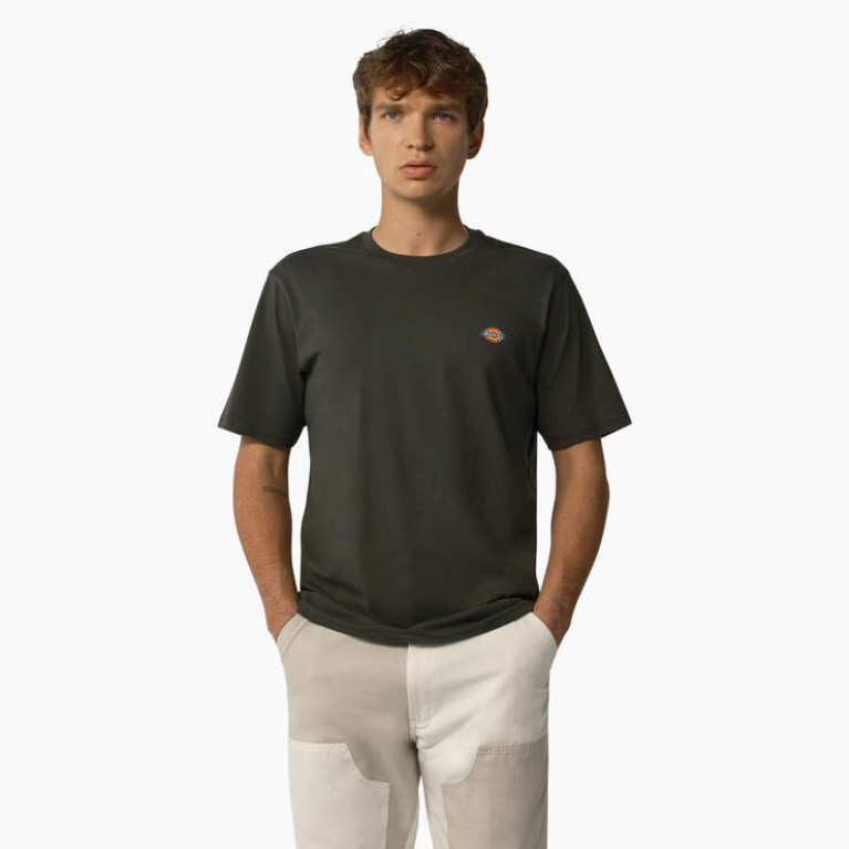 Футболка DICKIES MAPLETON SHORT SLEEVE TEE Olive Green