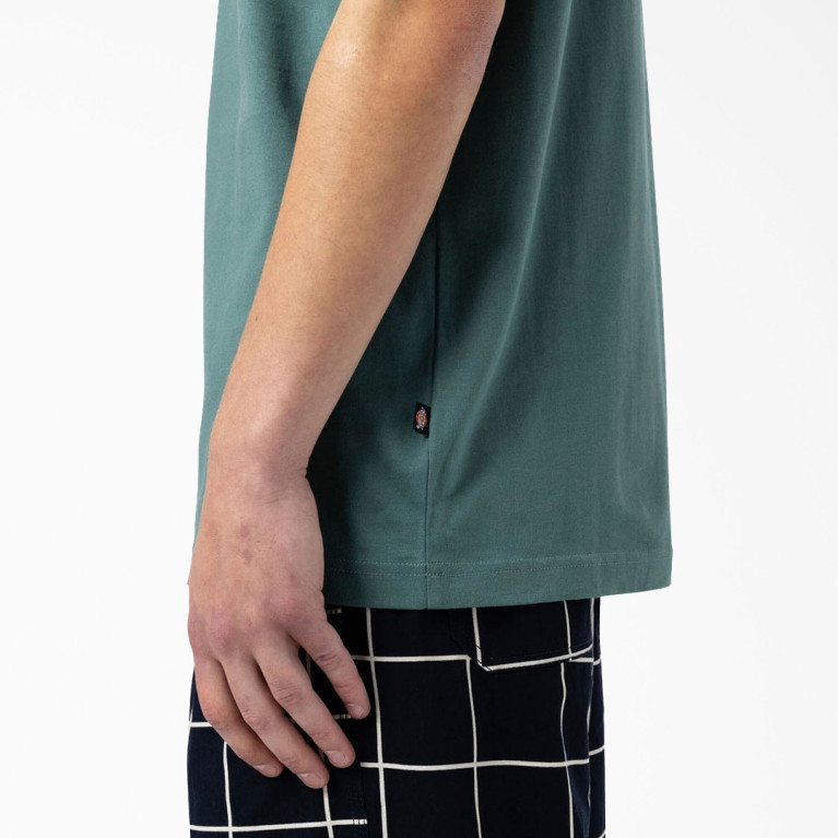 Футболка Dickies Skateboarding Mount Vista T-Shirt Lincoln Green