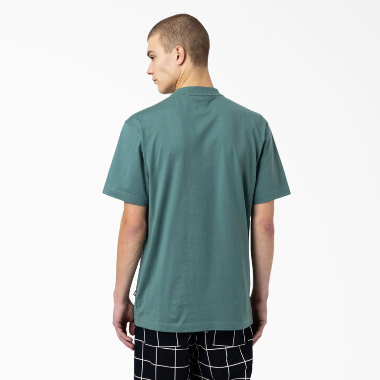 Футболка Dickies Skateboarding Mount Vista T-Shirt Lincoln Green