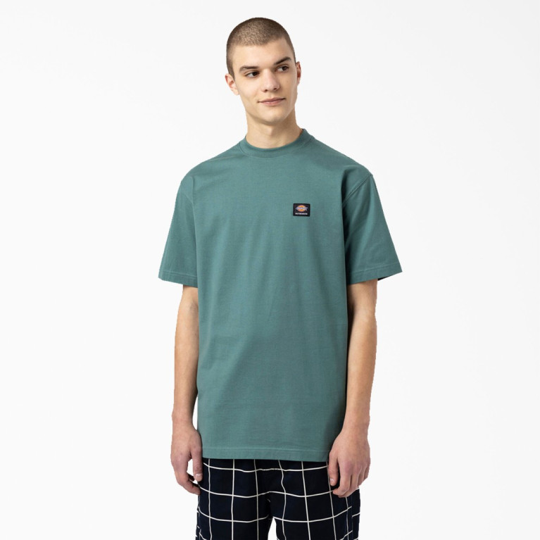 Футболка Dickies Skateboarding Mount Vista T-Shirt Lincoln Green