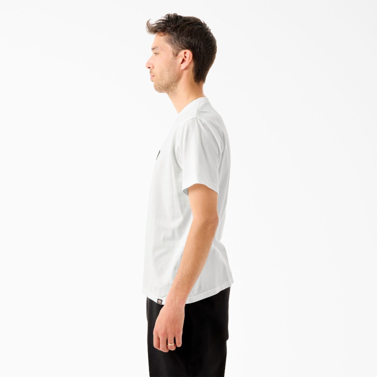 Футболка Dickies TOM KNOX GRAPHIC SHORT SLEEVE TEE White