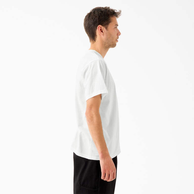 Футболка Dickies TOM KNOX GRAPHIC SHORT SLEEVE TEE White