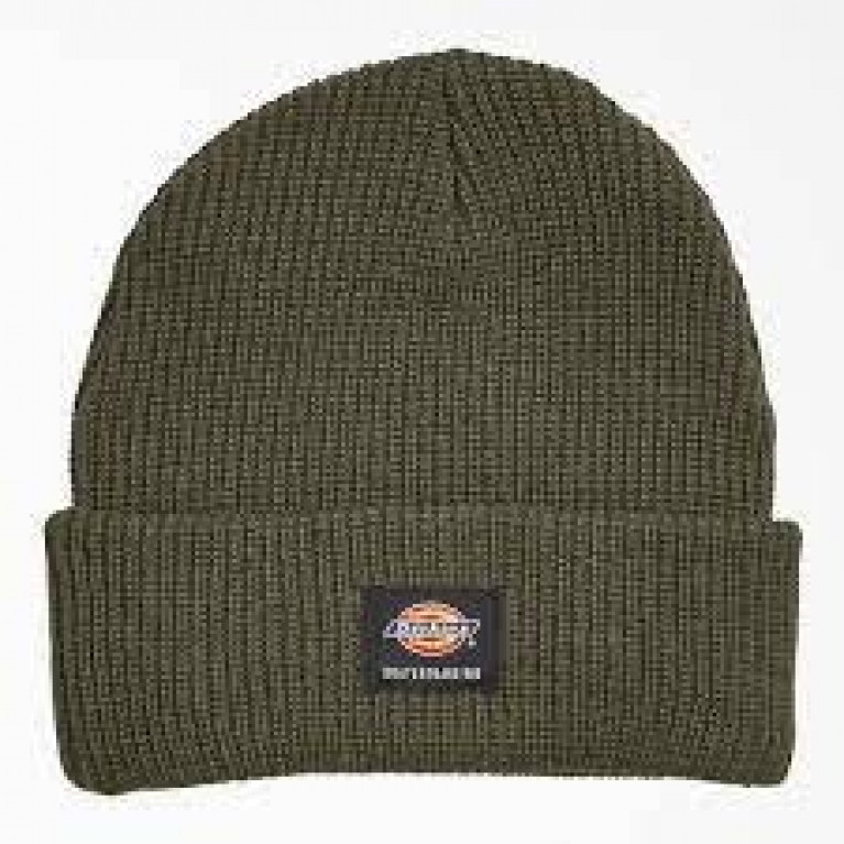 Шапка Dickies Skateboarding Flip Up Beanie Knit Skate Beanie Moss Green