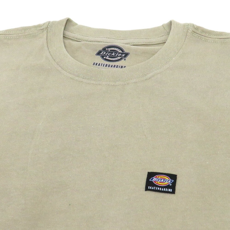 Футболка Dickies Skateboarding Mount Vista T-Shirt Desert Sand