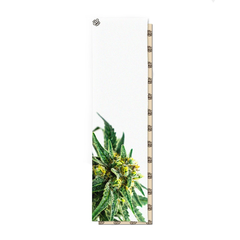 Шкурка для скейтборда Dip Grip WHITE GRASS