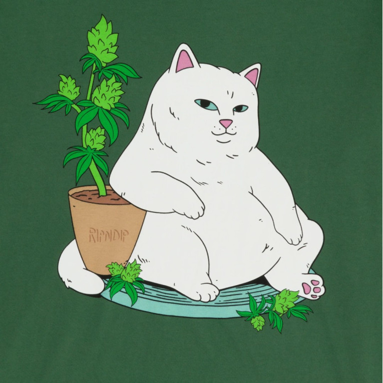 Футболка Ripndip Flower Boy Tee Olive