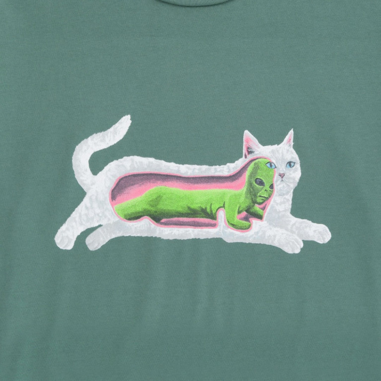 Футболка Ripndip Transnerm Tee Pine