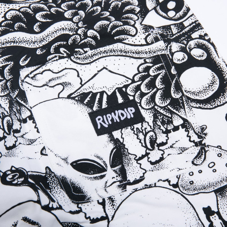 Штаны Ripndip Dark Twisted Fantasy Twill Pants Black/White