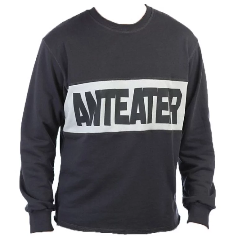 Толстовка Anteater hoodlong-combo_grey